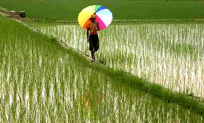 पावसाचा टक्का वाढणार पावसाचा टक्का वाढणार
