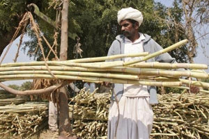 सर्वोदय साखर कारखान्याच्या सभेत गोंधळ सर्वोदय साखर कारखान्याच्या सभेत गोंधळ