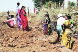महाराष्ट्र का घसरतो?