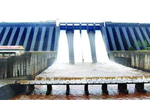 कोयना धरण अर्धे भरले कोयना धरण अर्धे भरले