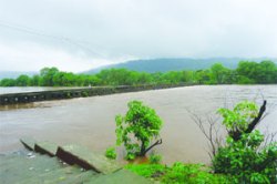 रायगड जिल्ह्य़ातील नद्यांचा गाळ काढण्याची योजना रखडली