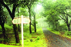 चिखलदऱ्याचा विकास आराखडा सहा वर्षांपासून लालफितीत!