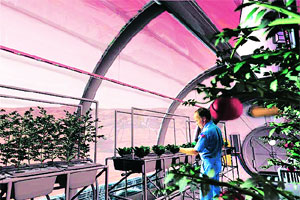 कुतूहल – अंतराळातील शेती -१