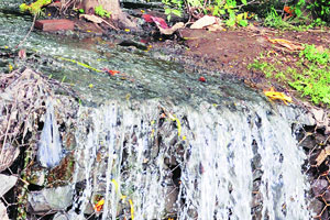 गोदावरी प्रदूषणासाठी १२ उद्योगांचा हातभार गोदावरी प्रदूषणासाठी १२ उद्योगांचा हातभार