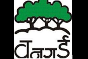 महाविद्यालयीन विद्यार्थी करणार भातलावणी