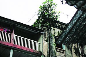 इमारतीचे पावसाळी आजार इमारतीचे पावसाळी आजार