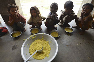 माध्यान्ह भोजनाची चाचणी मध्य प्रदेशात कुत्र्यांवर माध्यान्ह भोजनाची चाचणी मध्य प्रदेशात कुत्र्यांवर