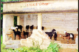 गोंदिया जिल्ह्य़ातील प्रवासी निवारे झाले बकाल