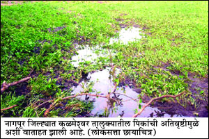 आभाळमाया.. आता नकोच! आभाळमाया.. आता नकोच!