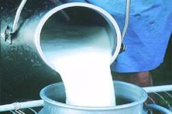 ‘शुभ्रते’तील ‘काळे’बेरे!..