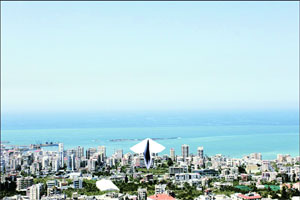 चित्रांचा राजकीय पट चित्रांचा राजकीय पट