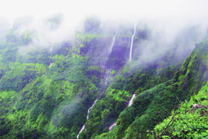 आंबोली, महाबळेश्वर पक्षीवेडी भ्रमंती आंबोली, महाबळेश्वर पक्षीवेडी भ्रमंती