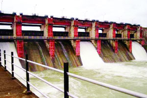 चंद्रपूर जिल्ह्य़ात चार सिंचन प्रकल्प पूर्ण भरले चंद्रपूर जिल्ह्य़ात चार सिंचन प्रकल्प पूर्ण भरले