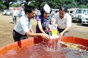 घरगुती गणपतींचे कोल्हापुरात विर्सजन