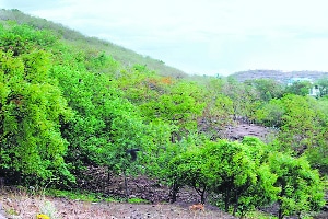 ‘तो’ वादग्रस्त प्रस्ताव अद्याप पालिकेतच पडून ‘तो’ वादग्रस्त प्रस्ताव अद्याप पालिकेतच पडून