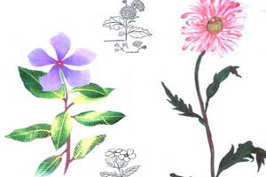 रंगछटा हाच निसर्गचित्रणातील पहिला टप्पा (भाग दोन)