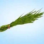 गणपतीला दुर्वा का वाहतात? गणपतीला दुर्वा का वाहतात?
