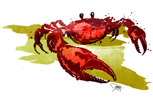 विघ्नसंतोष