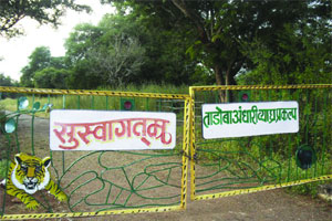 ताडोबा-अंधारी व्याघ्र प्रकल्पातील हॉटेल्स संवर्धन शुल्काविनाच सुरू ताडोबा-अंधारी व्याघ्र प्रकल्पातील हॉटेल्स संवर्धन शुल्काविनाच सुरू