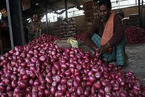 नव्या वर्षात कांद्याचा नीचांकी भाव?