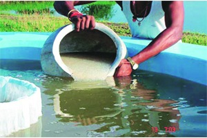कुतूहल: गोडय़ा पाण्यातील मत्स्यव्यवसाय कुतूहल: गोडय़ा पाण्यातील मत्स्यव्यवसाय