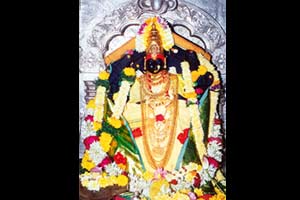 नवरात्रोत्सवानिमित्त प्रतापगड उजळला नवरात्रोत्सवानिमित्त प्रतापगड उजळला