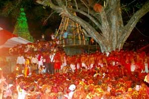 जल्लोषात भवानीमातेच्या मंदिरात सीमोल्लंघन जल्लोषात भवानीमातेच्या मंदिरात सीमोल्लंघन