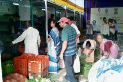 ‘उत्पादक ते ग्राहक’ योजनेस ग्राहकांचा उत्तम प्रतिसाद