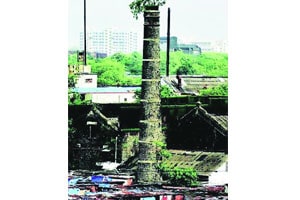 गिरण्यांच्या जमिनीवर कामगारांच्या घरांसोबत संक्रमण शिबिरेही!