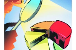 खासगी सेवाक्षेत्राचे वाढते महत्त्व