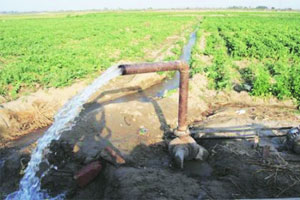 शेतीतील उपसा सिंचनाचे स्थान शेतीतील उपसा सिंचनाचे स्थान