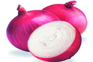कांद्याचे कारस्थान!