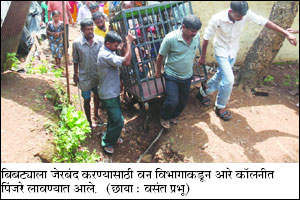 आरे कॉलनीत बिबटय़ाचे हल्ले, चिमुरडीचा मृत्यू