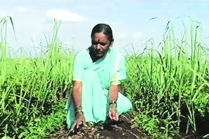 कुतूहल -शेती, पाणी आणि बचत गट!