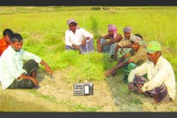 कुतूहल: कृषिवाणी