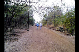 गरजाधिष्ठित ग्रामविकास आराखडा तयार करा
