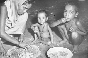 मेळघाटात आठ महिन्यात २५५ बालमृत्यू मेळघाटात आठ महिन्यात २५५ बालमृत्यू