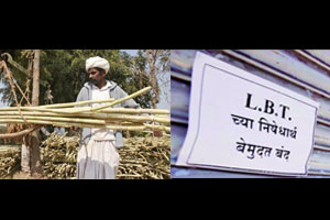 सरते वर्ष आंदोलनांनी गाजले सरते वर्ष आंदोलनांनी गाजले