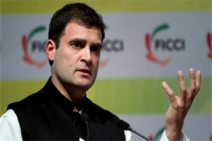 अधिकारांच्या मनमानी वापरामुळे प्रकल्पांना खीळ -राहुल गांधी अधिकारांच्या मनमानी वापरामुळे प्रकल्पांना खीळ -राहुल गांधी