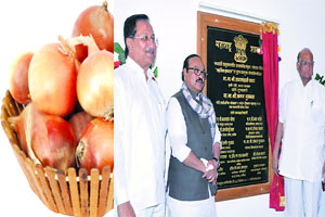 कांदा निर्यात मूल्य शुन्यावर आणण्यासाठी प्रयत्न