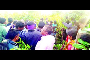 निजलेल्या मुलीला बिबटय़ाने मारल्याने खळबळ निजलेल्या मुलीला बिबटय़ाने मारल्याने खळबळ