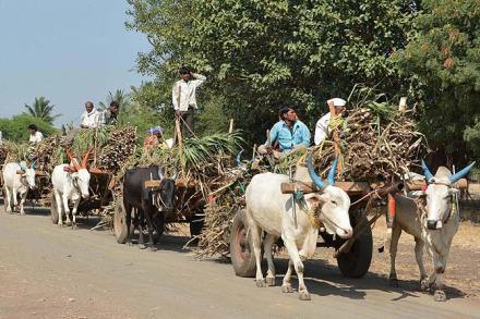साखर कारखान्यांना बिनव्याजी ७२०० कोटींचे कर्ज