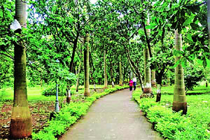 मोकळ्या जागा शहरांचा मोकळा श्वास मोकळ्या जागा शहरांचा मोकळा श्वास