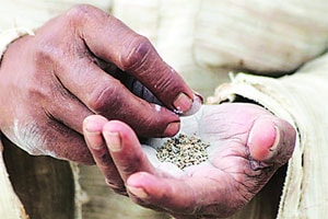 जेएनपीटीचे नवे विकास पर्व जेएनपीटीचे नवे विकास पर्व