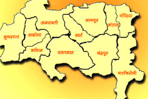 वेगळ्या विदर्भाला भवितव्य नाही