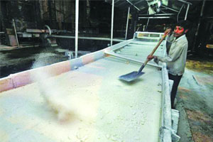 साखर उद्योग मदतीबाबत मुंबईत उद्या बैठक