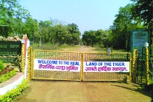 रस्ते खुले करण्याच्या सर्वोच्च न्यायालयाच्या आदेशाकडे दुर्लक्ष