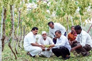 जिल्ह्य़ात हजारो हेक्टरवर कोटय़वधींचे नुकसान जिल्ह्य़ात हजारो हेक्टरवर कोटय़वधींचे नुकसान