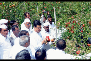 शेतक-यांना जास्तीत जास्त मदत देऊ- थोरात
