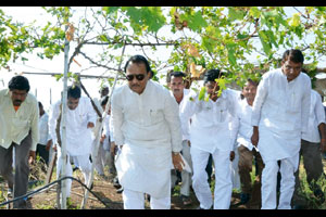 तालुक्यात ५० कोटींचे नुकसान; उपमुख्यमंत्र्यांकडून कर्जतला पाहणी तालुक्यात ५० कोटींचे नुकसान; उपमुख्यमंत्र्यांकडून कर्जतला पाहणी